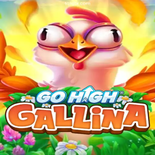 GoHighGallina: An Exciting New Adventure in Gaming